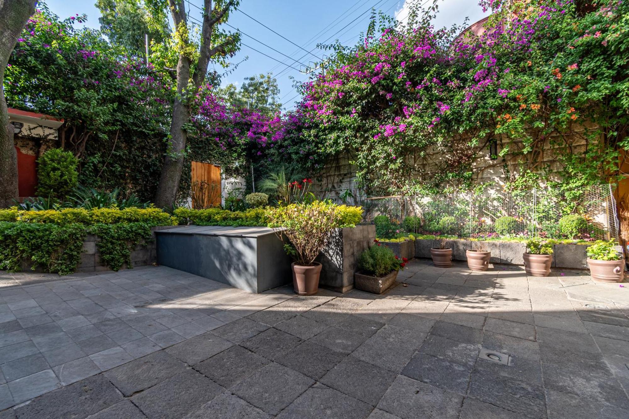 Terraza & Loft San Angel Apartment Mexico City Exterior photo