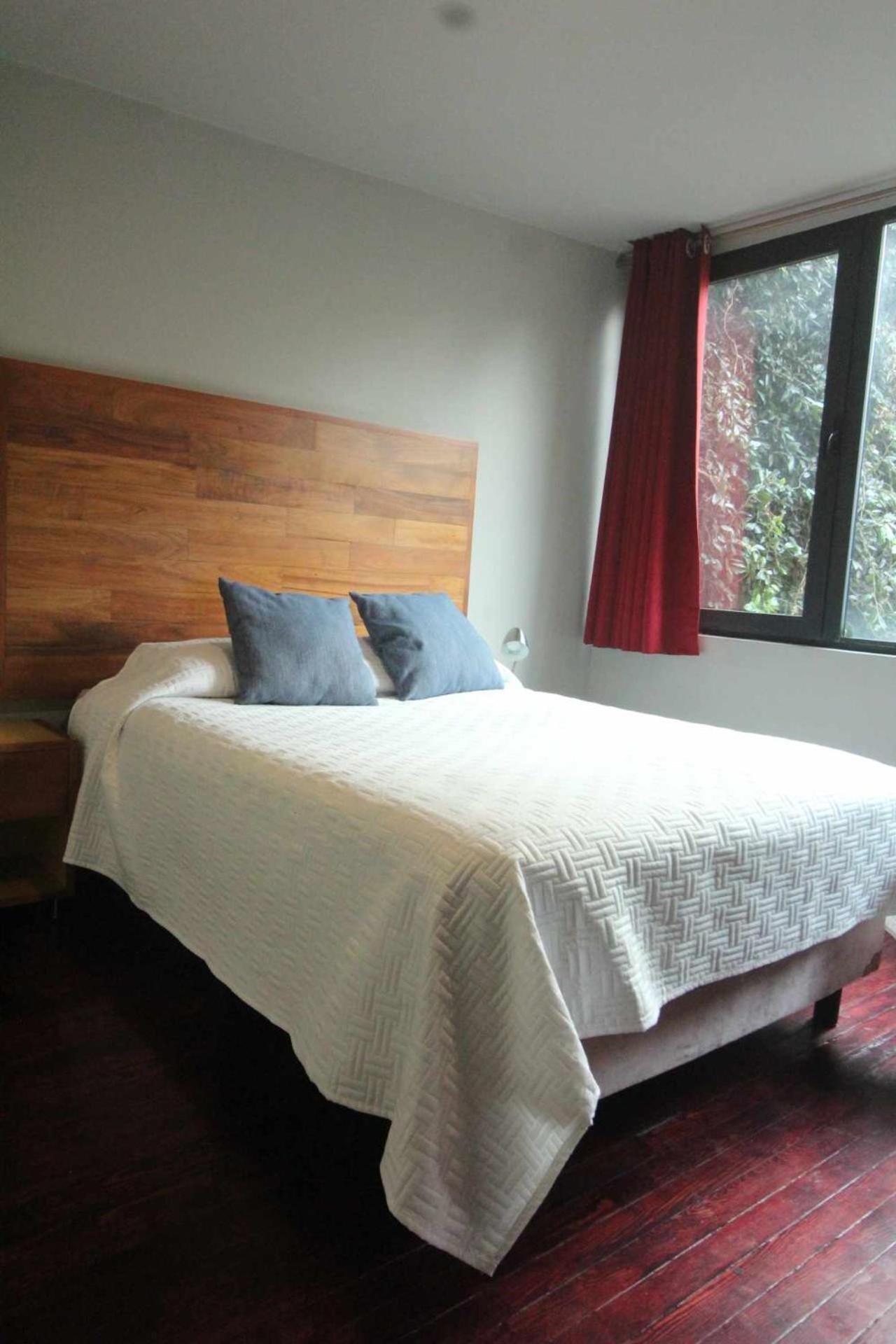 Terraza & Loft San Angel Apartment Mexico City Exterior photo